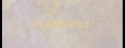 怎么辨别纯种金毛