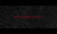 拉布拉多肠胃炎拉肚子