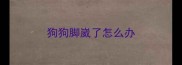 狗狗脚崴了怎么办