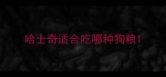 哈士奇适合吃哪种狗粮