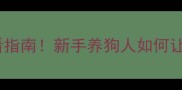 拉布拉多换主人后必看指南新手养狗人如何让毛孩平稳过渡新家