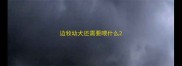 边牧幼犬还需要喂什么