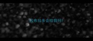 拉布拉多会咬我吗
