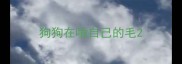 狗狗在啃自己的毛