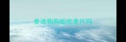 泰迪狗狗能吃麦片吗