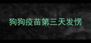 狗狗疫苗第三天发愣