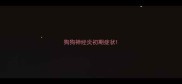 狗狗神经炎初期症状
