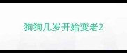 狗狗几岁开始变老