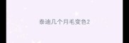 泰迪几个月毛变色