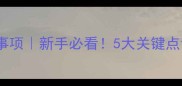 哈士奇进新家注意事项新手必看5大关键点让二哈秒变乖宝宝