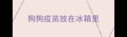 狗狗疫苗放在冰箱里
