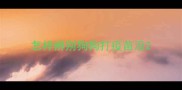 怎样辨别狗狗打疫苗没