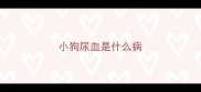 小狗尿血是什么病