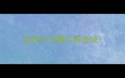 边牧分为哪几种血统