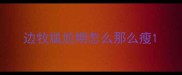 边牧尴尬期怎么那么瘦