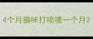 4个月猫咪打喷嚏一个月