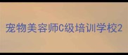 宠物美容师C级培训学校