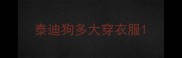 泰迪狗多大穿衣服