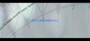 四个月泰迪补钙吃什么