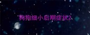 狗狗细小后期症状
