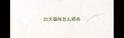 20天猫咪怎么喂养