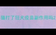 猫打了狂犬疫苗副作用吗