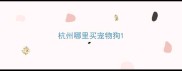 杭州哪里买宠物狗