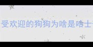 最受欢迎的狗狗为啥是哈士奇