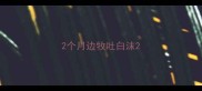 2个月边牧吐白沫