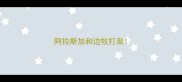 阿拉斯加和边牧打架