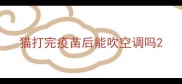 猫打完疫苗后能吹空调吗