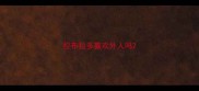 拉布拉多喜欢外人吗
