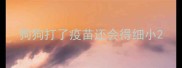 狗狗打了疫苗还会得细小