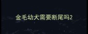 金毛幼犬需要断尾吗