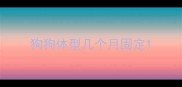 狗狗体型几个月固定