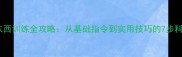 狗狗叼东西训练全攻略从基础指令到实用技巧的7步科学教学