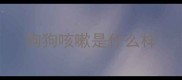 狗狗咳嗽是什么样