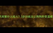 2月龄幼犬频繁扑人咬人3步训练法让狗狗秒变温顺小天使