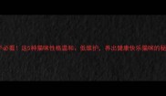 新手必看这5种猫咪性格温和低维护养出健康快乐猫咪的秘诀