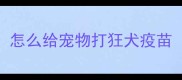 怎么给宠物打狂犬疫苗