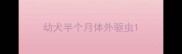 幼犬半个月体外驱虫