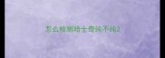 怎么检测哈士奇纯不纯