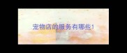 宠物店的服务有哪些