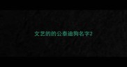 文艺的的公泰迪狗名字
