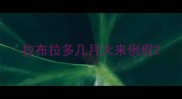 拉布拉多几月大来例假