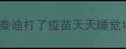 泰迪打了疫苗天天睡觉