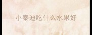 小泰迪吃什么水果好