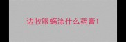 边牧眼螨涂什么药膏