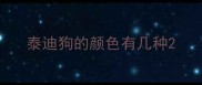 泰迪狗的颜色有几种