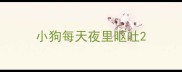 小狗每天夜里呕吐